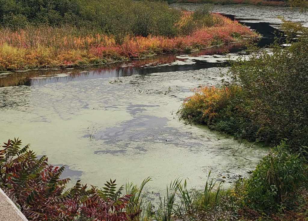 This image has an empty alt attribute; its file name is River-Heart-1024x736.jpg